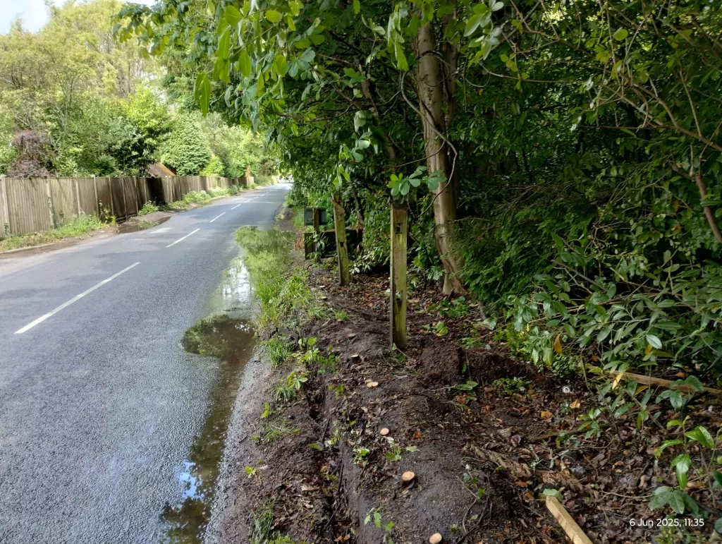 Verge opposite Saint Hill