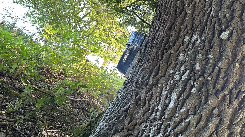 Motion sensors have been deployed along the property's perimeter
