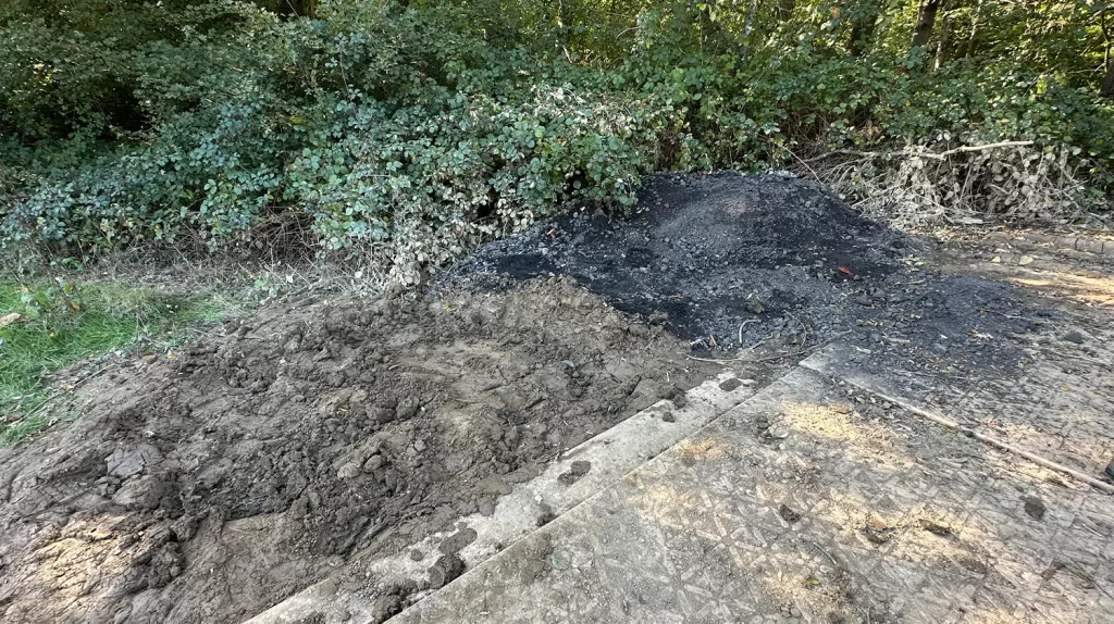 Scientology's IAS event causes damage to the local environment