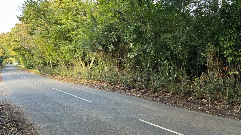 Hedgegate: How Scientology continue to play games with West Sussex Highways