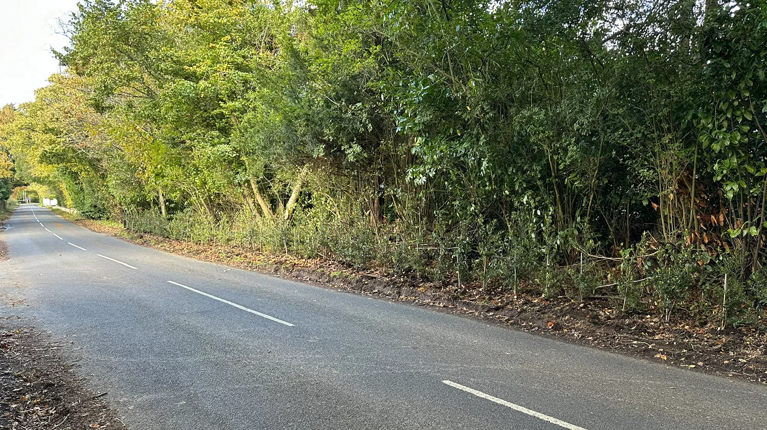 Hedge opposite Scientology's UK headquarters